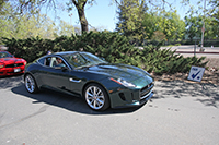 green F Type at Start